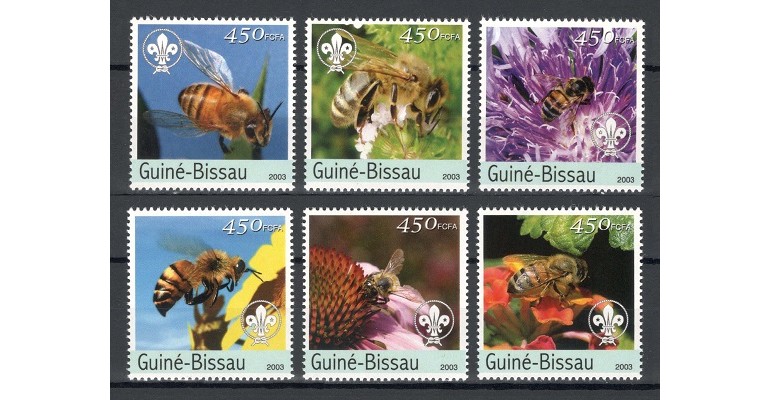 GUINEA BISSAU 2003 - ALBINE - SERIE DE 6 TIMBRE - NESTAMPILATA - MNH / insecte77